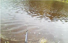 75岁老渔翁分享钓鱼心得