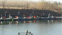 黑坑垂钓鲤鱼饵料配制方法