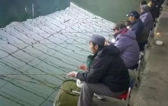 黑坑钓场老板到底隐瞒了多少秘密？答案让你大