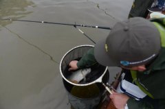 超强黑坑绝技，学会了就是大师！