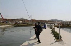 黑坑飞的正爽突然停口，怎么办？