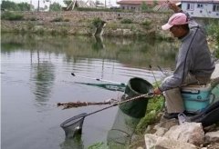 黑坑钓鱼的注意事项！学会一个就是高手。