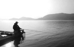 黑坑钓鲫鱼全攻略，来自10几年大师钓友分享