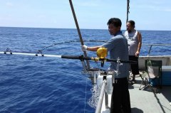 黑坑选位的重要性和方法都在这