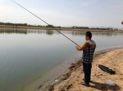 黑坑用饵的套路都在这