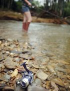 钓鱼人必备的万能黑坑小药