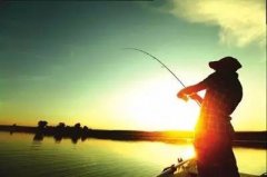 最全万能黑坑小药配方