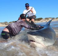 黑坑钓鱼的小药如何使用的技巧？