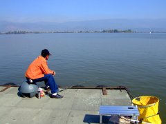 黑坑小药使用技巧