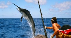 黑坑饵料和小药该如何搭配呢？