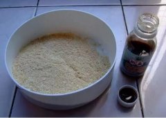 钓黑坑什么时候用小药？时机很重要