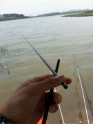 钓鱼小药钓黑坑该怎么样去使用呢？