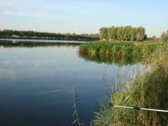 钓了一年黑坑，被坑了多少？