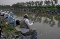 饵料搭配技巧：用饵配饵的原理