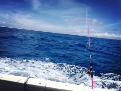 黑坑钓鱼的四种实用技巧掌握了离坑冠不远了。