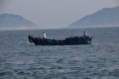 黑坑钓鱼下竿之前要做到“四看”