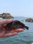 黑坑钓鱼秘笈，新手也能成坑冠