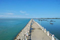 黑坑钓鱼，出现顿口或黑漂不中鱼该怎么办？