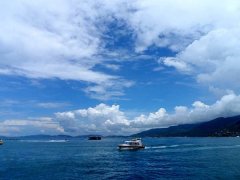 黑坑钓鱼开饵技巧，新手一定要学起来