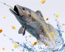 不一样鱼情下钓鲫鱼的方法也不同