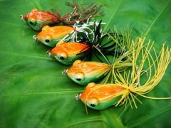 黑坑钓鱼如何选择合适的行程漂？