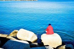 黑坑钓鱼饵料配方,赶紧收藏