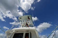 黑坑钓鲫鱼鲤鱼通杀鱼饵料配方