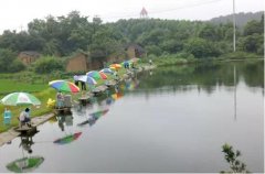 垂钓黑坑通用技巧详解！34种钓鲫鱼饵料配方