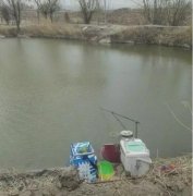 黑坑钓鲤鱼自己压箱底的配饵秘方！