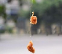 钓鱼饵料配方很全面，新手也能秒懂