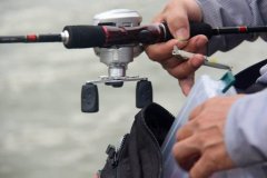 黑坑饵料和小药该如何搭配呢？