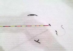 黑坑钓鲤鱼之调4钓2的技巧