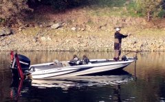 黑坑钓鲤鱼基本的开饵方法和上饵技巧