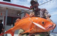 全面的钓黑坑鱼池技巧及鱼饵配制方法