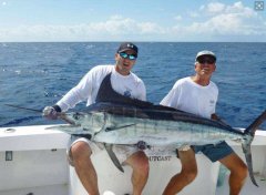 黑坑偷驴看似很难，其实只要学会这几招，就能