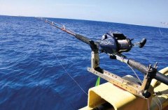 大师教你如何应对黑坑千变万化的鱼情