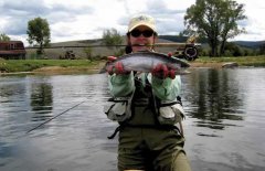 黑坑钓鲤鱼饵料配方以及用饵技巧
