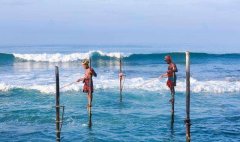 肥水黑坑鱼塘该怎么钓？