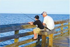 钓鱼新手如何应对收费鱼塘黑坑？