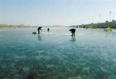 新手垂钓黑坑收费鱼池要掌握的技巧