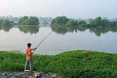黑坑禁用红虫，完全可以用这两样代替使用！