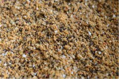 黑坑偷驴怎么玩？这样玩上岸不再难！