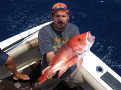 黑坑该如何钓好鲤鱼？