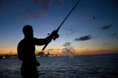 黑坑偷驴有诀窍，饵料选择很重要