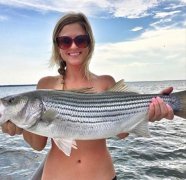 玩黑坑，20招通杀黑坑