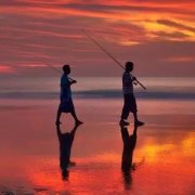 钓黑坑谨防“酱层”，3招搞定