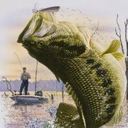 钓空黑坑通杀鲤鱼和草鱼的饵料，菜场就有？？