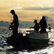 黑坑青鱼怎么钓啊？用什么饵料好