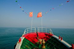 黑坑用什么配方钓鲤鱼？