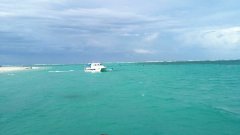 黑坑钓鱼用对饵料就能爆护？还要会选钓位才是